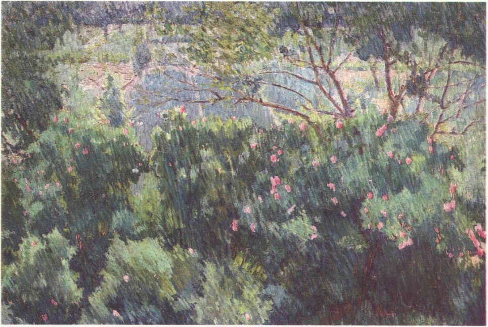 42. М. Ларионов. Розовый куст после дождя. 1904