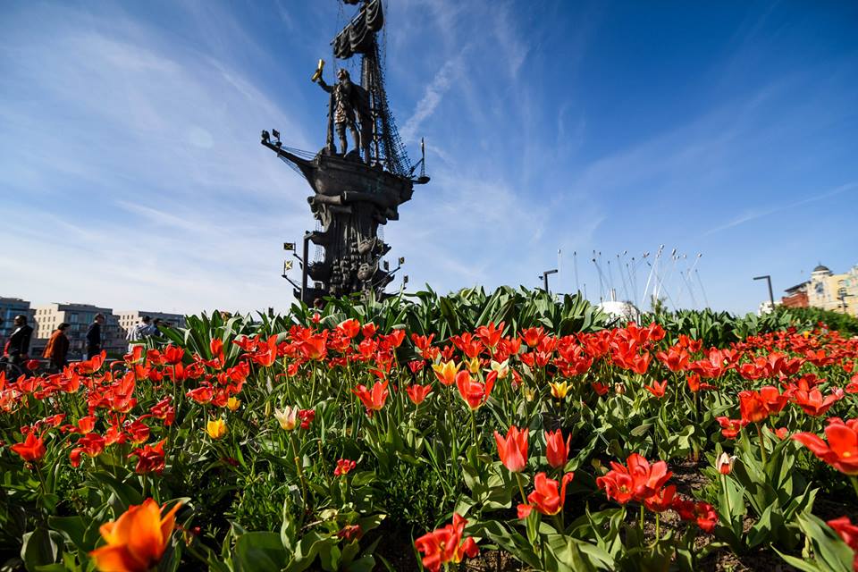 На московском фестивале садов и цветов воспроизведут картину Кандинского